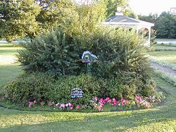 Flowers on the Grounds