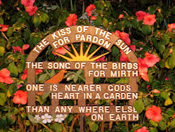 Flowers with sign