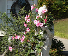 Statue 2